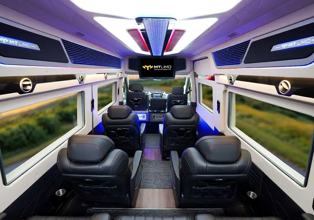 MT LIMO HYUNDAI SOLATI T10 S – TỦ LẠNH - Ảnh 3