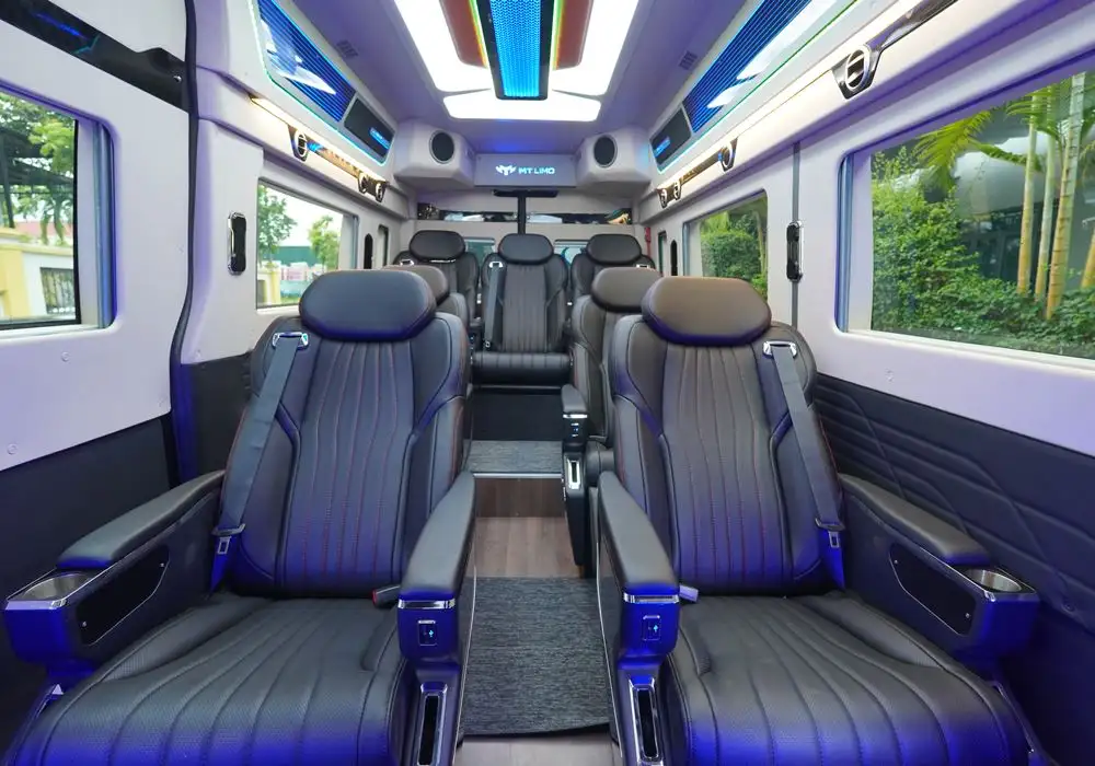 MT LIMO HYUNDAI SOLATI T10 S – TỦ LẠNH - Ảnh 2